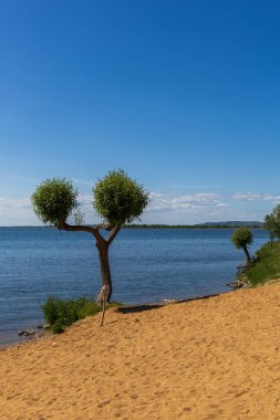 Lake landscape. Novomlnsk reservoir - lower with a view of Palava. Czech Republic - South Moravia clipart