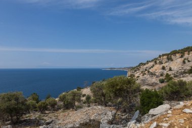 Yangından sonra yanan ağaçların olduğu deniz manzarası. Alyki bölgesi Thassos Adası Yunanistan. Ağaçlar çoktan yeşile döndü..