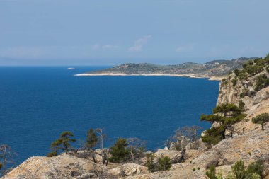 Yangından sonra yanan ağaçların olduğu deniz manzarası. Alyki bölgesi Thassos Adası Yunanistan. Ağaçlar çoktan yeşile döndü..