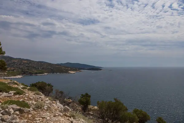 stock image Seaside landscape with burnt trees after fire. Alyki area Thassos island Greece. Trees are already turning green in places.