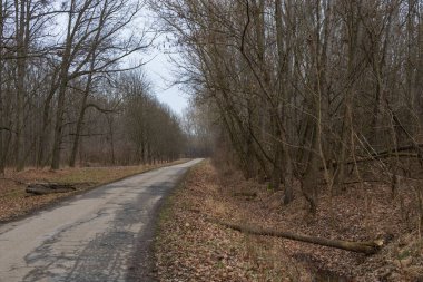 Cut wood by the meter is stacked and ready for heating for the winter.