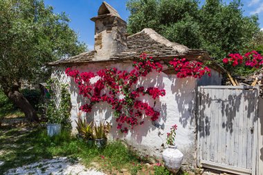 Aliki Alyki adası Thassos Yunanistan 'ın güzel deniz manzarası.