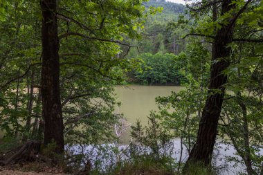 Yunanistan 'ın Thassos adasında tatlı su gölü evleniyor