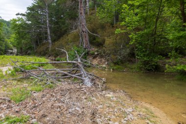 Yunanistan 'ın Thassos adasında tatlı su gölü evleniyor