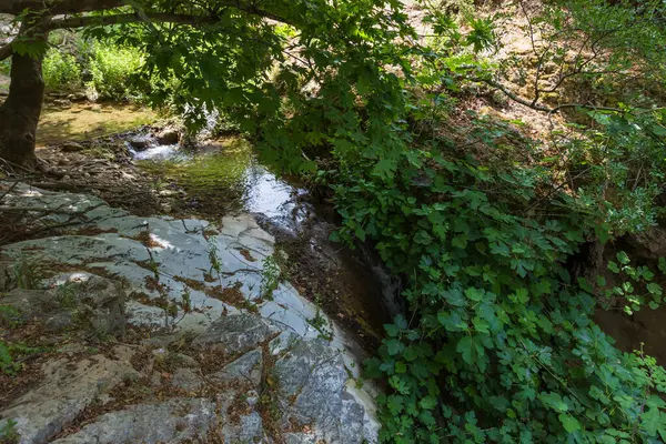 stock image Beautiful scenic landscape of Kefalogourna - Theologos waterfalls area on Thassos island