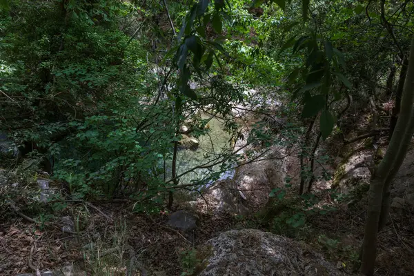 stock image Beautiful scenic landscape of Kefalogourna - Theologos waterfalls area on Thassos island