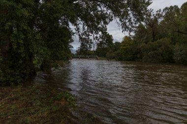 Çek Cumhuriyeti 'nin Brno şehrinde Svratka Nehri ve Svitava Nehri. Yağmur mevsiminde sulandırılmış su.