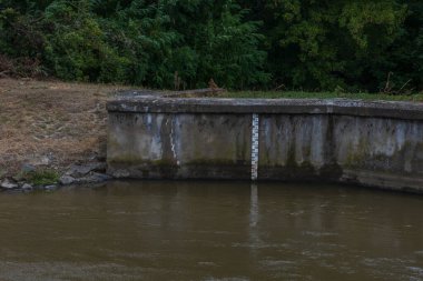 Çek Cumhuriyeti 'nin Brno şehrinde Svratka Nehri ve Svitava Nehri. Yağmur mevsiminde sulandırılmış su.