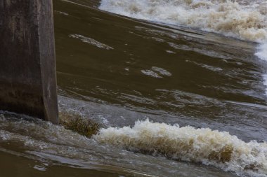 Çek Cumhuriyeti 'nin Brno şehrinde Svratka Nehri ve Svitava Nehri. Yağmur mevsiminde sulandırılmış su.