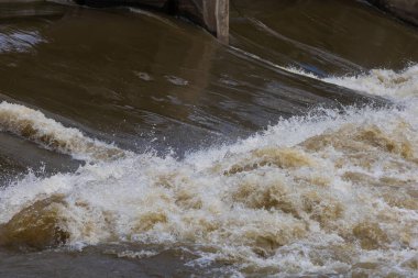 Çek Cumhuriyeti 'nin Brno şehrinde Svratka Nehri ve Svitava Nehri. Yağmur mevsiminde sulandırılmış su.