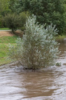 Çek Cumhuriyeti 'nin Brno şehrinde Svratka Nehri ve Svitava Nehri. Yağmur mevsiminde sulandırılmış su.