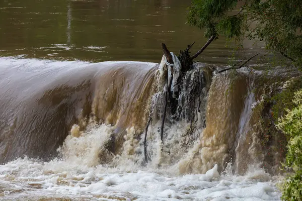 Obrany 'nin yerel bir parçası olan Brno şehrindeki Svitava Nehri' ndeki Weir. Yağmurdan sonra büyük su.