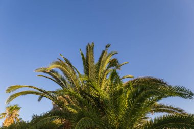 Seascape - Rodos Yunanistan Nikolas plajı gün doğumunda