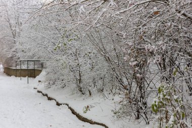 Kış şehir manzarası. Ağaçlar, patikalar ve merdivenler karın altında.