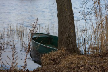 Göletteki bir ağaca bağlanmış teneke bir tekne.