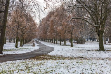 Parkın karlı manzarası