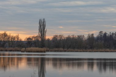 Çek Cumhuriyeti 'nde bir göl çevresindeki manzara