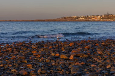El Veril plajı. Beverly Park, Relaxia, Gran Canaria, İspanya 'da akşam manzarası