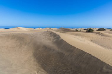 Maspaloma 'daki çöl manzarası ve kum tepeleri. Kum tepeleri ve deniz manzarası. Gran Kanarya Adası İspanya