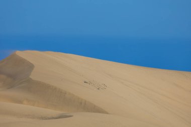 Maspaloma 'daki çöl manzarası ve kum tepeleri. Kum tepeleri ve deniz manzarası. Gran Kanarya Adası İspanya