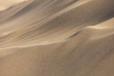 Maspaloma 'daki çöl manzarası ve kum tepeleri. Kum tepeleri ve deniz manzarası. Gran Kanarya Adası İspanya