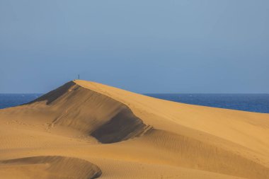Maspaloma 'daki çöl manzarası ve kum tepeleri. Kum tepeleri ve deniz manzarası. Gran Kanarya Adası İspanya