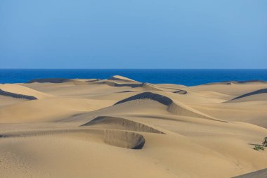 Maspaloma 'daki çöl manzarası ve kum tepeleri. Kum tepeleri ve deniz manzarası. Gran Kanarya Adası İspanya