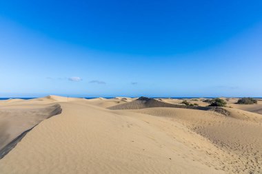 Maspaloma 'daki çöl manzarası ve kum tepeleri. Kum tepeleri ve deniz manzarası. Gran Kanarya Adası İspanya