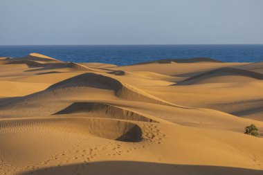 Maspaloma 'daki çöl manzarası ve kum tepeleri. Kum tepeleri ve deniz manzarası. Gran Kanarya Adası İspanya
