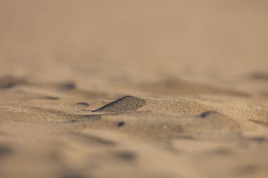 Maspaloma 'daki çöl manzarası ve kum tepeleri. Kum tepeleri ve deniz manzarası. Gran Kanarya Adası İspanya