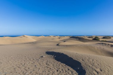 Maspaloma 'daki çöl manzarası ve kum tepeleri. Kum tepeleri ve deniz manzarası. Gran Kanarya Adası İspanya