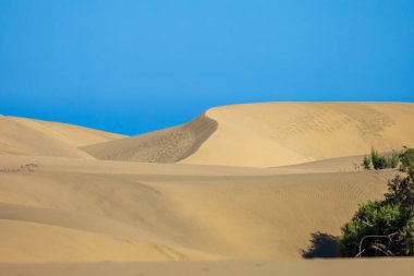 Maspaloma 'daki çöl manzarası ve kum tepeleri. Kum tepeleri ve deniz manzarası. Gran Kanarya Adası İspanya