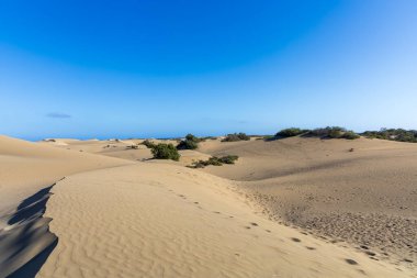 Maspaloma 'daki çöl manzarası ve kum tepeleri. Kum tepeleri ve deniz manzarası. Gran Kanarya Adası İspanya