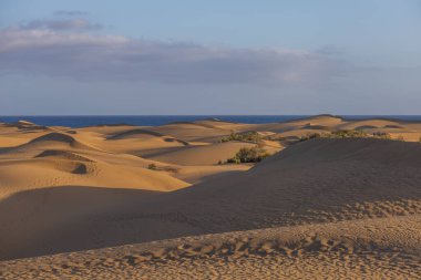 Maspaloma 'daki çöl manzarası ve kum tepeleri. Kum tepeleri ve deniz manzarası. Gran Kanarya Adası İspanya