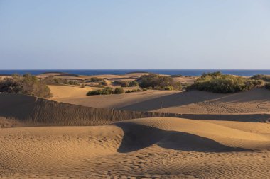 Maspaloma 'daki çöl manzarası ve kum tepeleri. Kum tepeleri ve deniz manzarası. Gran Kanarya Adası İspanya