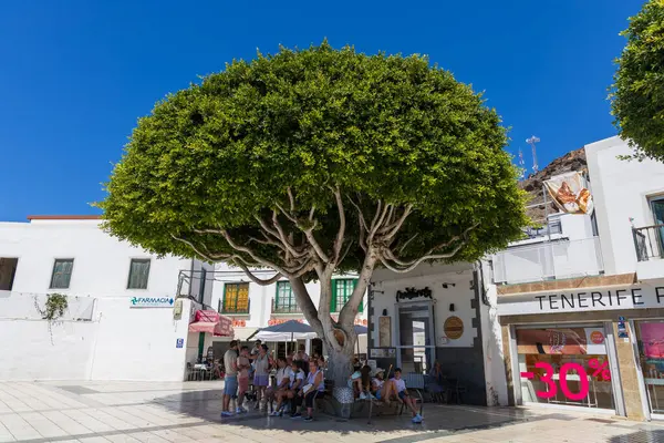 Mogan, İspanya - Büyük Kanarya Temmuz, 17. 2024 Sahil tatil köyü ve limanı