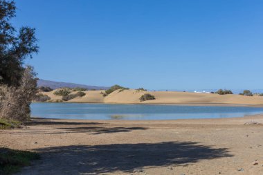 Faro de Maspaloma İspanya deniz manzarası, sahil ve deniz feneri Faro ve Gran Kanarya 'daki kum tepeleri