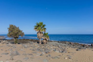 Faro de Maspaloma İspanya deniz manzarası, sahil ve deniz feneri Faro ve Gran Kanarya 'daki kum tepeleri