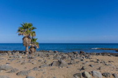 Faro de Maspaloma İspanya deniz manzarası, sahil ve deniz feneri Faro ve Gran Kanarya 'daki kum tepeleri