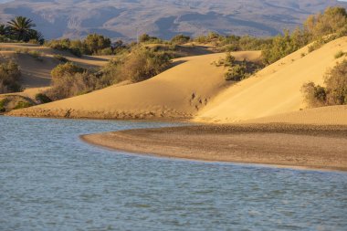 İspanya, Gran Canaria 'daki Faro de Maspaloma' da deniz manzarası ve kumullar