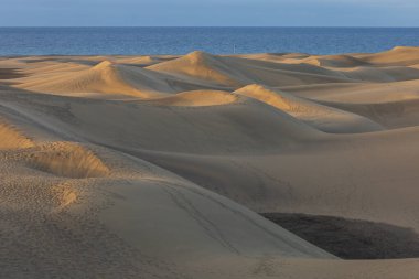 Gran Canaria İspanya 'nın Maspaloma bölgesinde kum tepeleri