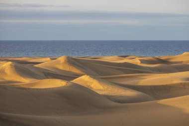 Gran Canaria İspanya 'nın Maspaloma bölgesinde kum tepeleri