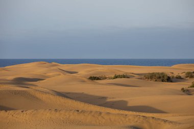 Gran Canaria İspanya 'nın Maspaloma bölgesinde kum tepeleri
