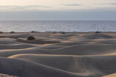 Gran Canaria İspanya 'nın Maspaloma bölgesinde kum tepeleri