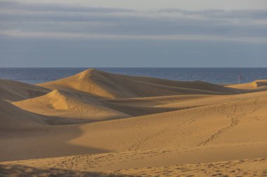 Gran Canaria İspanya 'nın Maspaloma bölgesinde kum tepeleri
