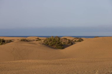 Gran Canaria İspanya 'nın Maspaloma bölgesinde kum tepeleri