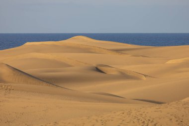 Gran Canaria İspanya 'nın Maspaloma bölgesinde kum tepeleri