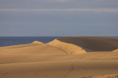 Gran Canaria İspanya 'nın Maspaloma bölgesinde kum tepeleri