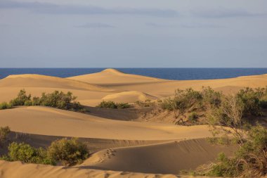 Gran Canaria İspanya 'nın Maspaloma bölgesinde kum tepeleri