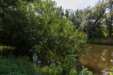 Dolni Kounice taş ocağının yanındaki Jihlava Nehri. Nehir boyunca ağaçlar